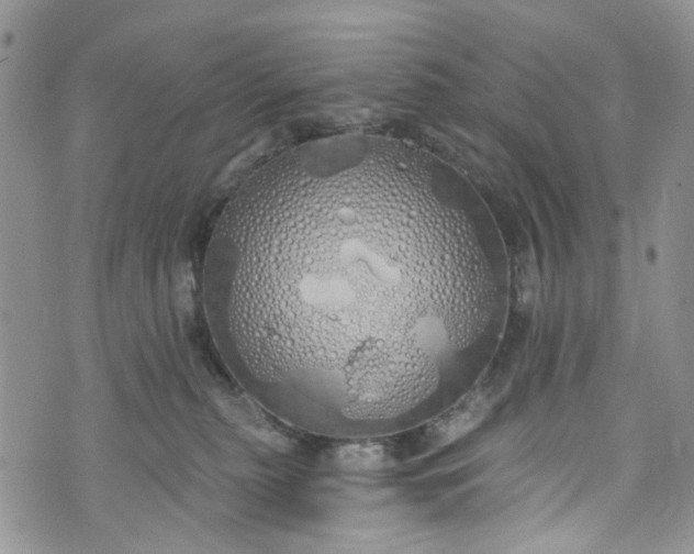 X0000072990279200608041316