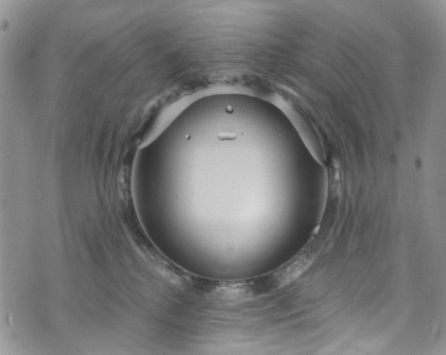 X0000072990280200608041316