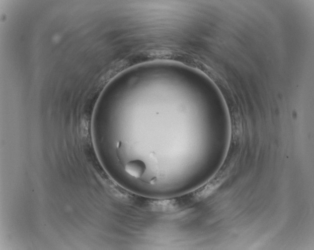 X0000072990281200608041316