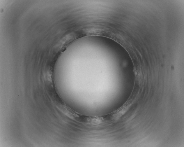 X0000072990282200608041316