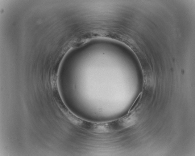 X0000072990285200608041316