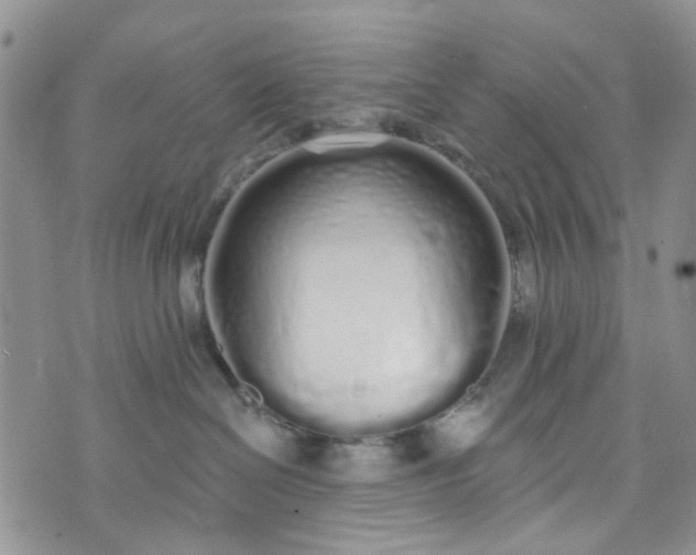 X0000072990286200608041316