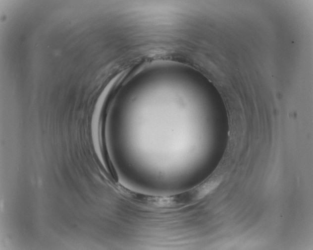 X0000072990288200608041316