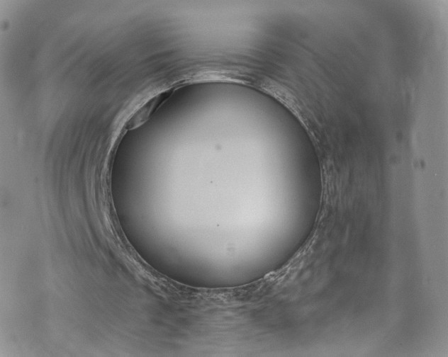 X0000072990289200608041315