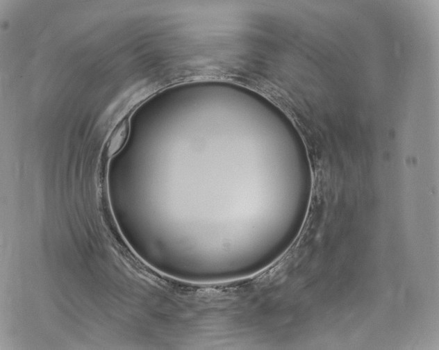 X0000072990290200608041315