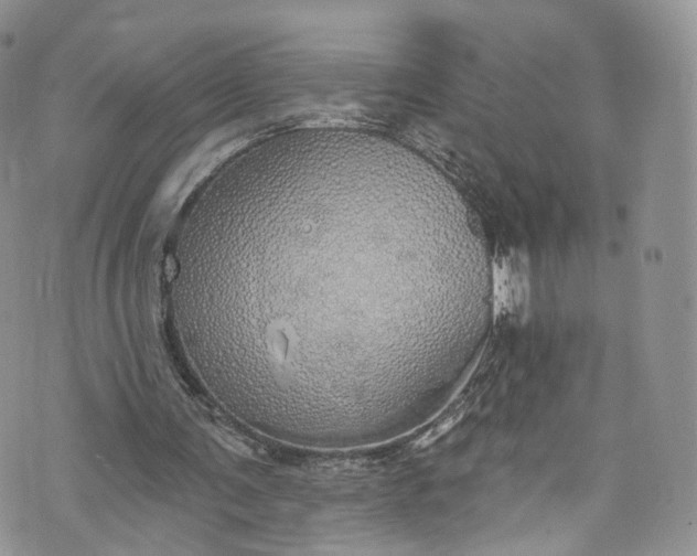 X0000072990291200608041315