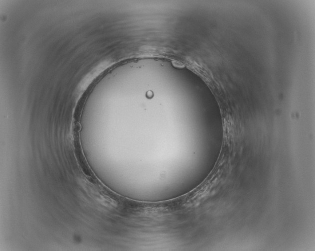 X0000072990292200608041315