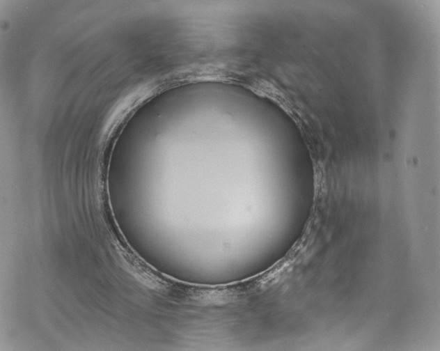 X0000072990293200608041315