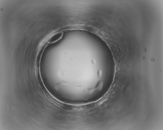 X0000072990294200608041315