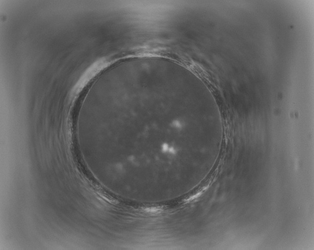 X0000072990295200608041315