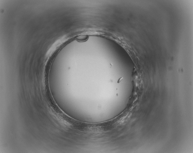 X0000072990296200608041315