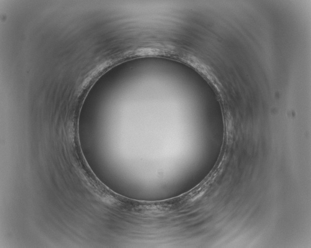 X0000072990297200608041315