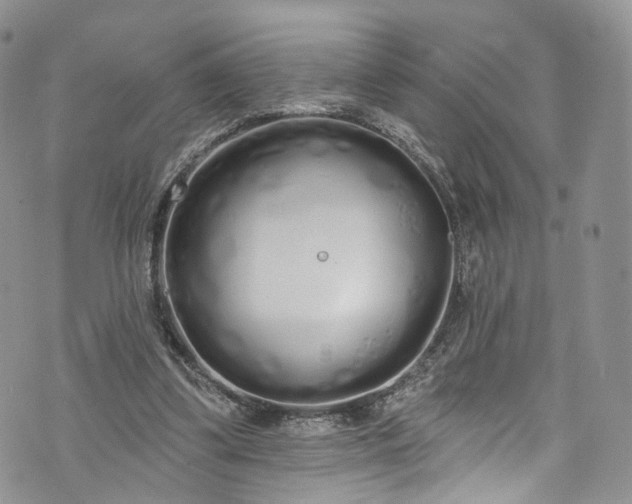 X0000072990299200608041315