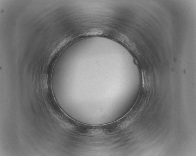 X0000072990300200608041315