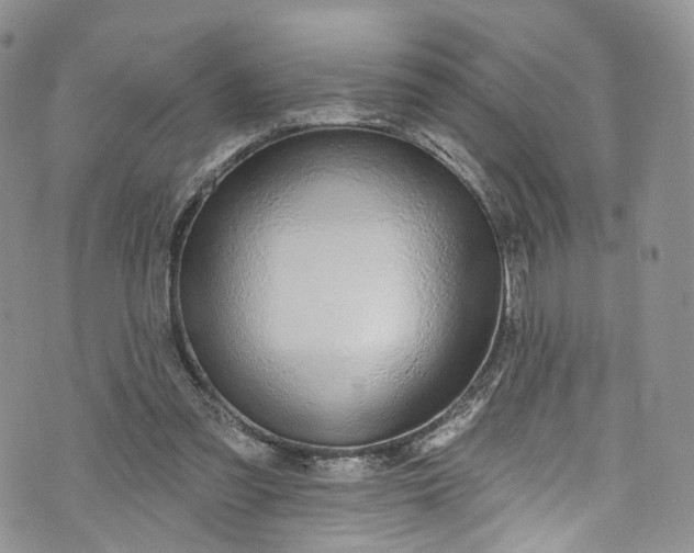 X0000072990301200608041315