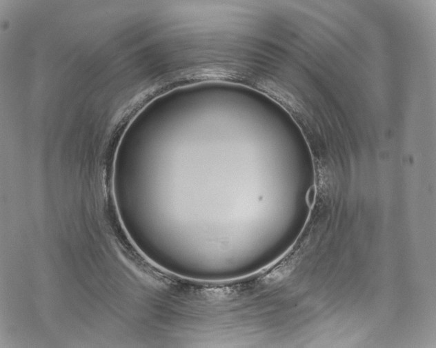 X0000072990302200608041315