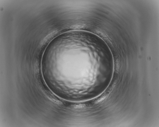 X0000072990303200608041315