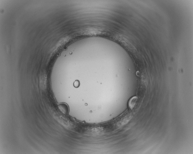 X0000072990304200608041315