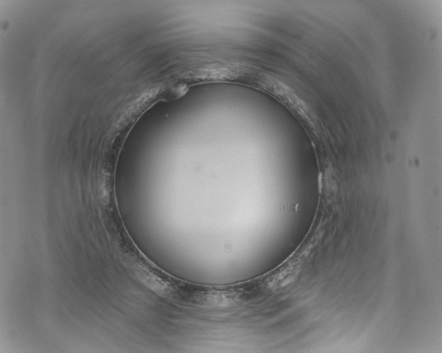 X0000072990305200608041315