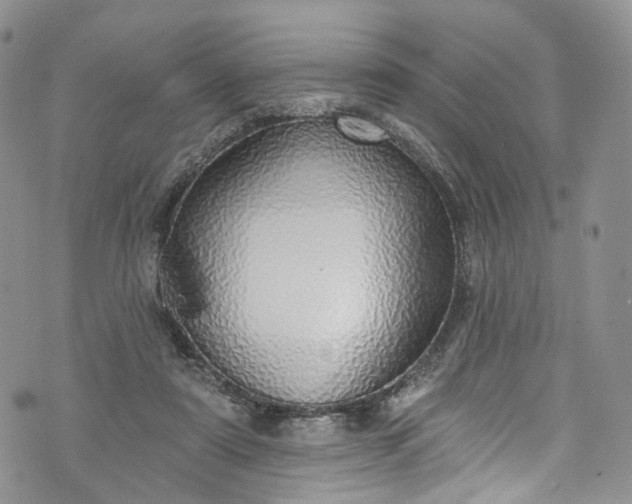 X0000072990307200608041315