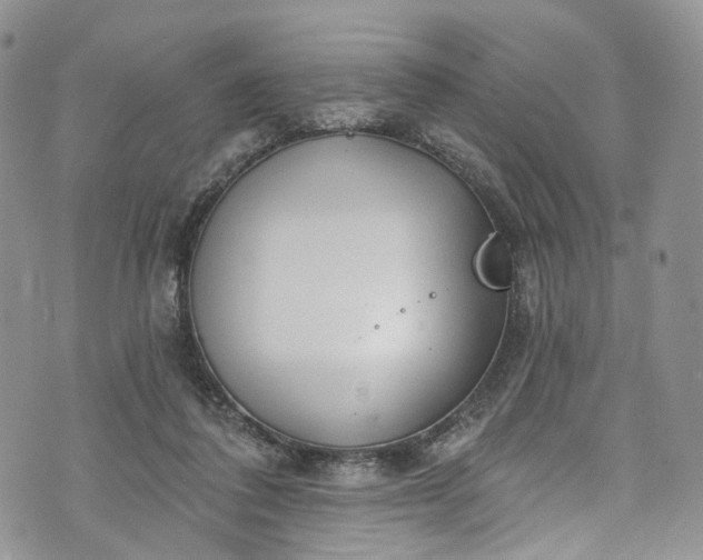 X0000072990308200608041315