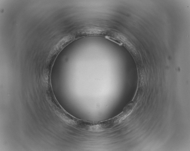 X0000072990309200608041315