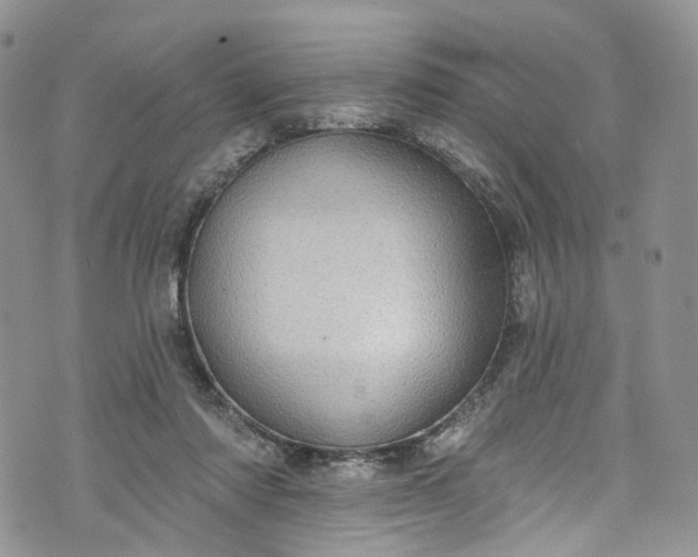 X0000072990310200608041315