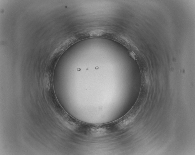 X0000072990311200608041315