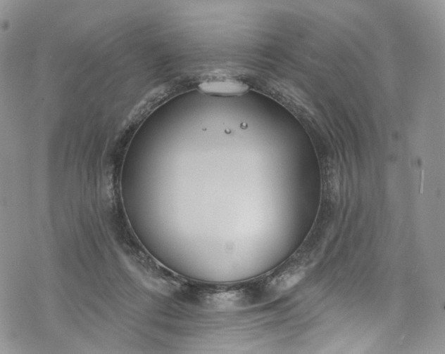 X0000072990312200608041315