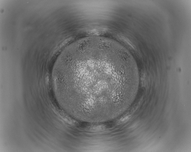 X0000072990314200608041315