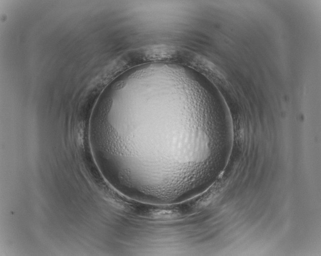 X0000072990315200608041315