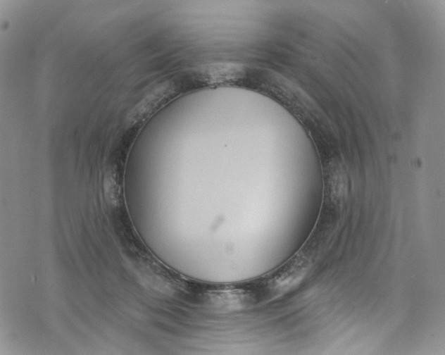 X0000072990316200608041315