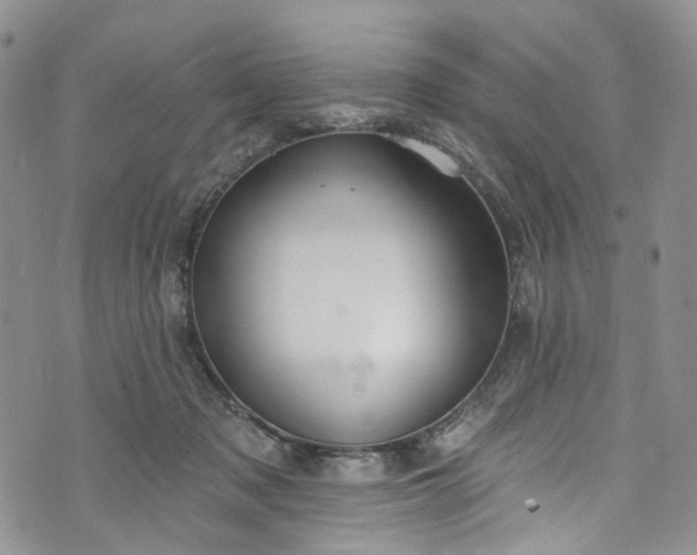 X0000072990317200608041315