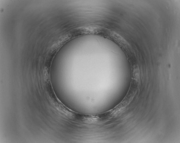 X0000072990318200608041315