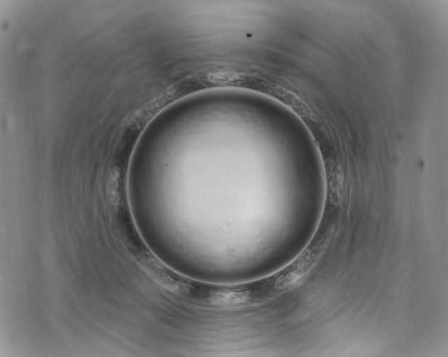 X0000072990319200608041315