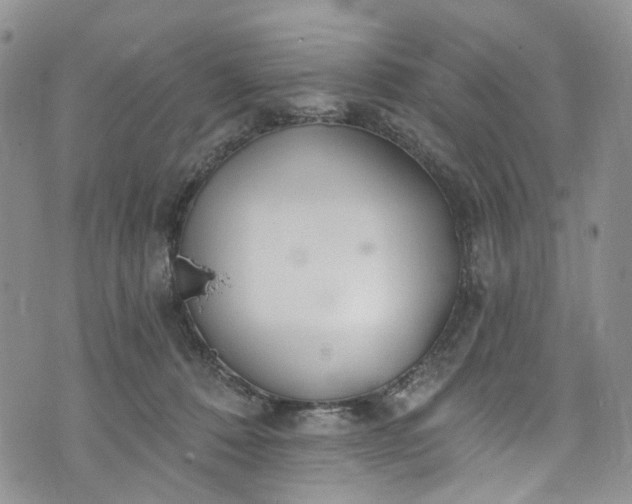 X0000072990320200608041315