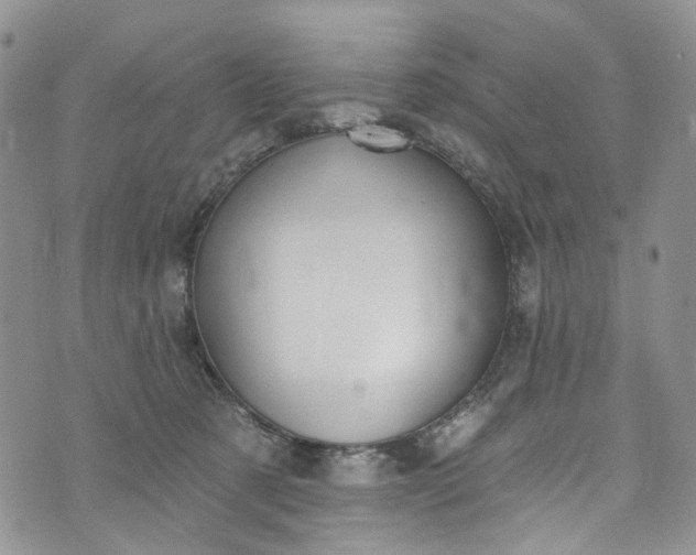 X0000072990321200608041315