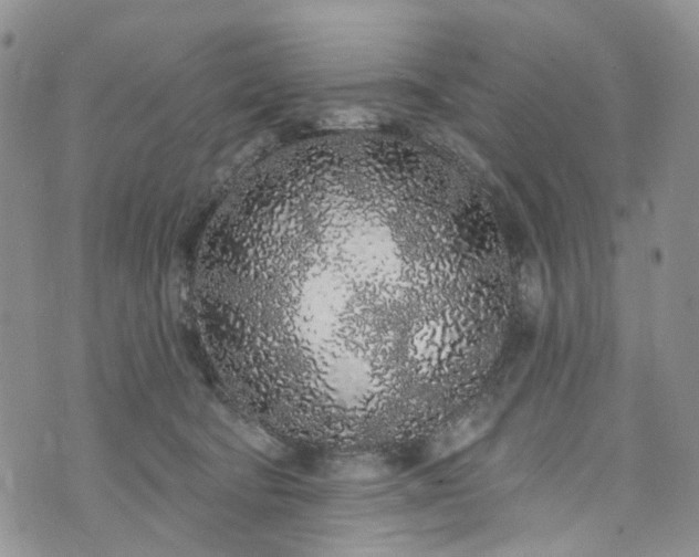 X0000072990322200608041315