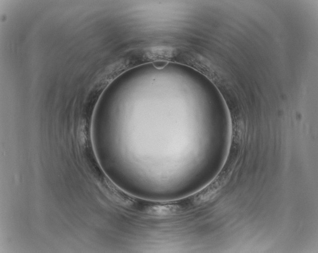 X0000072990323200608041314