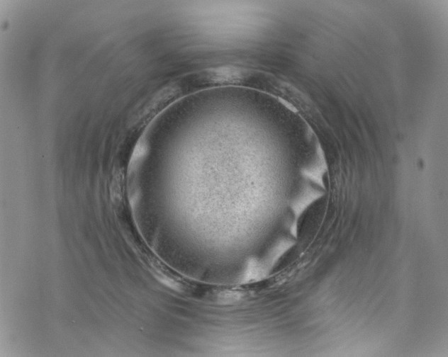 X0000072990325200608041314