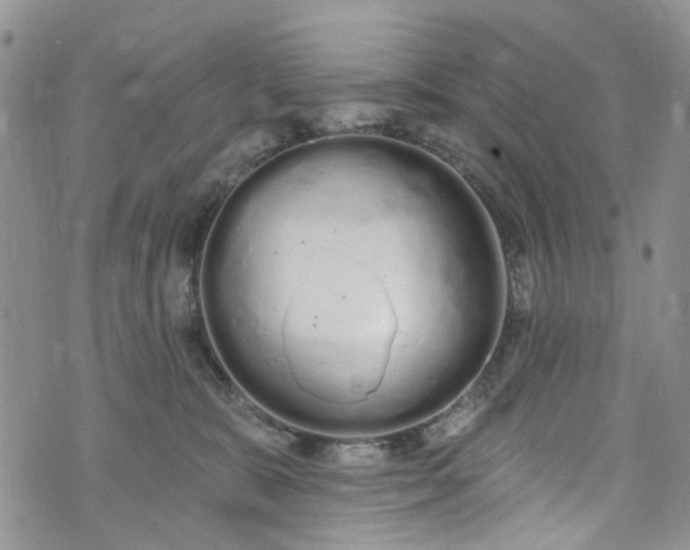 X0000072990327200608041314