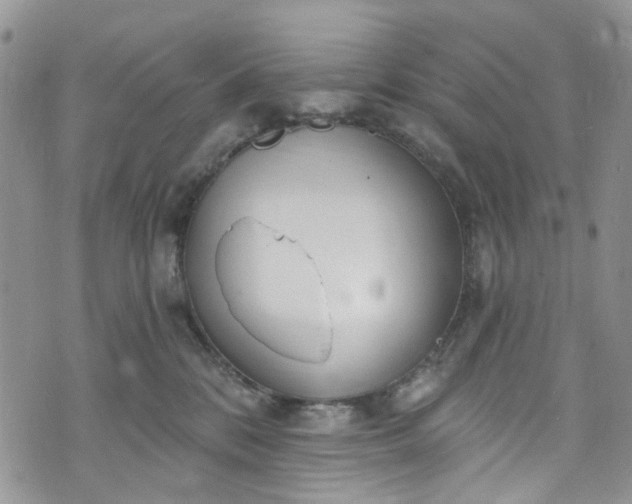 X0000072990328200608041314