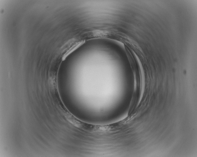 X0000072990329200608041314