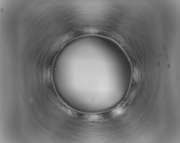 X0000072990330200608041314