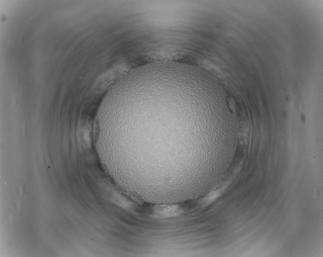 X0000072990334200608041314