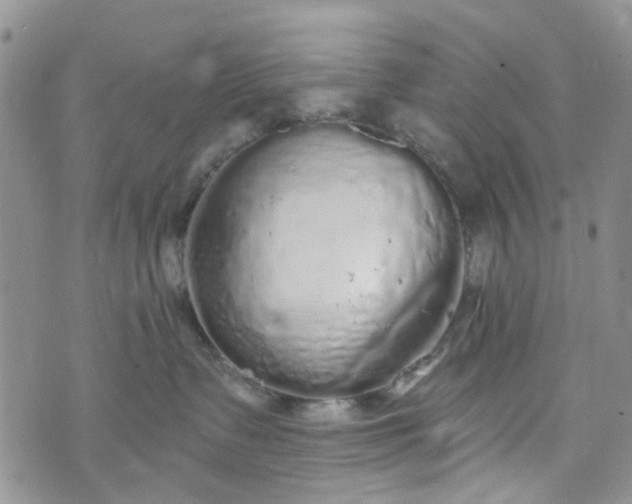 X0000072990335200608041314