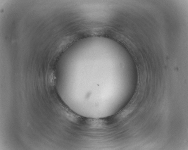 X0000072990336200608041314