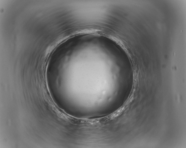 X0000072990337200608041313