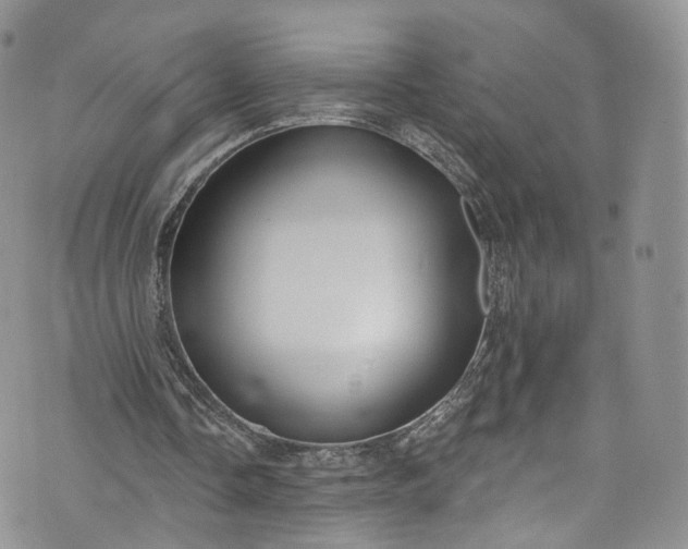 X0000072990338200608041314