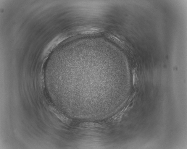 X0000072990339200608041314